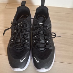 NIKE 25.5cmの画像