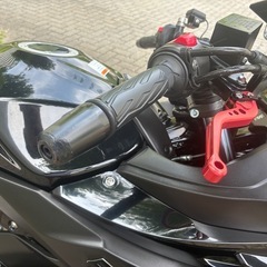 　商品説明必読　GSX250r Abs etc付き の画像