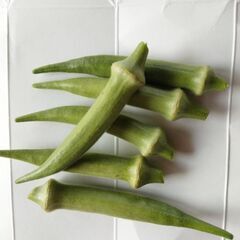自家栽培の丸オクラの画像