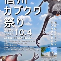 色んな種類のクワガタ、カブトムシ！お子さんのプレゼントに！の画像