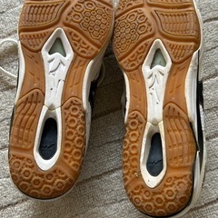 MIZUNO✴︎バレーボールシューズ の画像