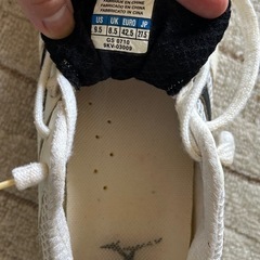 MIZUNO✴︎バレーボールシューズ の画像