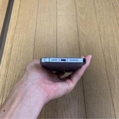 iPhone 13 Pro Max 大容量　256GBの画像