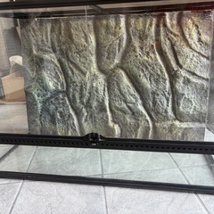 グラステラリウム9060 爬虫類ケージの画像