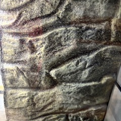 グラステラリウム9060 爬虫類ケージの画像