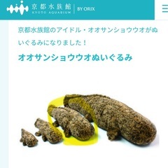 オオサンショウウオぬいぐるみの画像