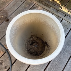 植木鉢　の画像