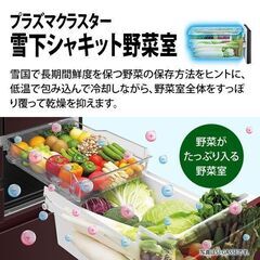 シャープ SHARP プラズマクラスター冷蔵庫 (502L・電動フレンチドア) 6ドア ピュアホワイト SJ-AF50F-Wの画像