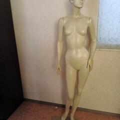 (1)レデースマネキントルソー、ガラス土台、現金手渡し希望です。の画像