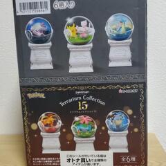 【バラ売り不可】ポケットモンスター　テラリウムコレクション15の画像