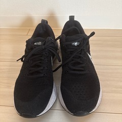 NIKE 26.0cmの画像