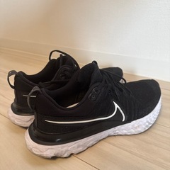 NIKE 26.0cmの画像