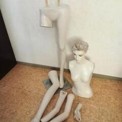 (1)レデースマネキントルソー、鉄土台現金手渡し希望です。の画像