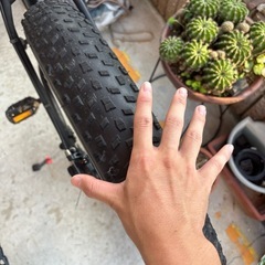 ファットバイク【自転車】の画像