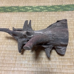 流木の画像