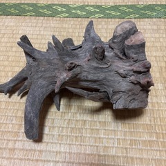 流木の画像