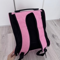 ペットキャリーバッグ｜海外移住のため出品の画像