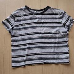 【サイズ150〜160】半袖Tシャツの画像