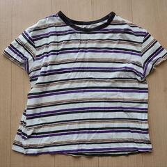 【サイズ150〜160】半袖Tシャツの画像