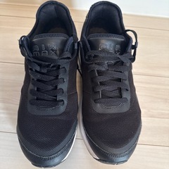 NIKE 26.0cmの画像