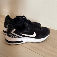 NIKE 26.0cmの画像