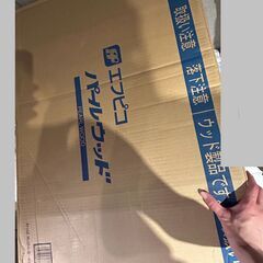  (フタ付き）使い捨て弁当容器の画像