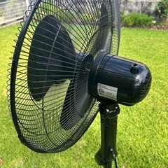 美品PELONIS製　黒色扇風機の画像