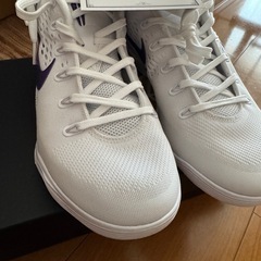 Kobe 9 ナイキ　コビー　９　ロー　EMの画像