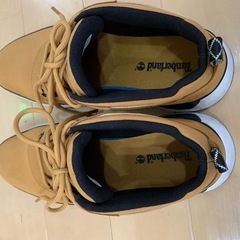 Timberland FIELD TREKKER LOW 25.5cmの画像