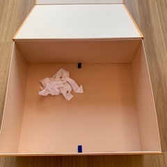 LOUIS VUITTON ルイビトン　ルイヴィトン　から箱の画像