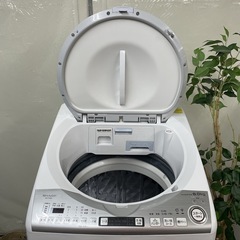 R340 ☀️ ジモティー限定特別価格！ プラズマクラスター搭載！SHARP 洗濯乾燥機 （洗濯：8.0㎏ 乾燥：4.5㎏）19年製 ES-TX8D ⭐ 動作確認済 ⭐ クリーニング済の画像