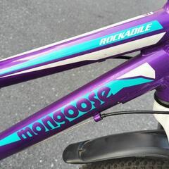 USEDキッズMTB マングース「ROCKADILE」20インチの画像