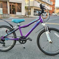 USEDキッズMTB マングース「ROCKADILE」20インチの画像