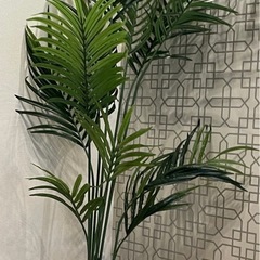 【美品】IKEA   FEJKA フェイカの画像
