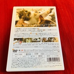 DVD・にゃんこTHE MOVIEの画像
