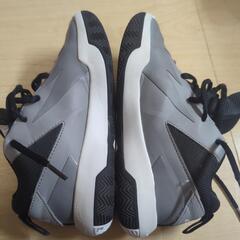 バッシュ　20.0cmの画像