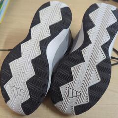 バッシュ　20.0cmの画像