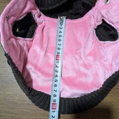 ペット用服の画像