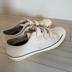 Amber Wall 25.5cmの画像