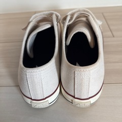 Amber Wall 25.5cmの画像