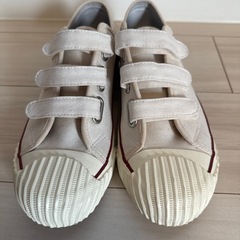 Amber Wall 25.5cmの画像