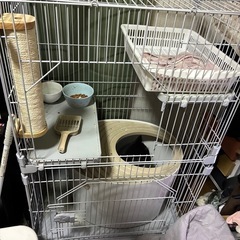 【稲城市平尾】ネコ2段ケージの画像