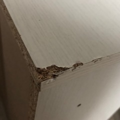 ラック　白の画像