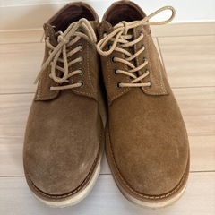 Lee 25.0cmの画像