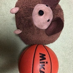 ぬいぐるみの画像