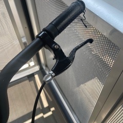 エレクトラ　タウニーの画像