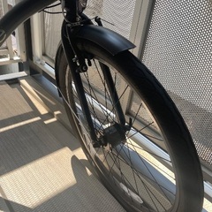 エレクトラ　タウニーの画像