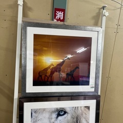 額縁、ポスターの画像
