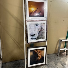 額縁、ポスターの画像