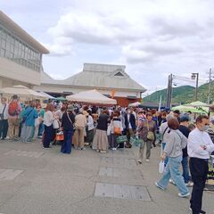 新たな設定ブース出店募集。多肉植物や園芸関連、ロハス（健康…